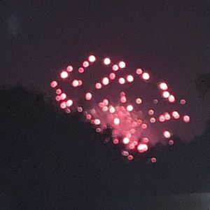 Meet your Posher, Doris